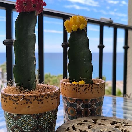 Apartamento Tropicana 1° Linea Альмуньекар Экстерьер фото